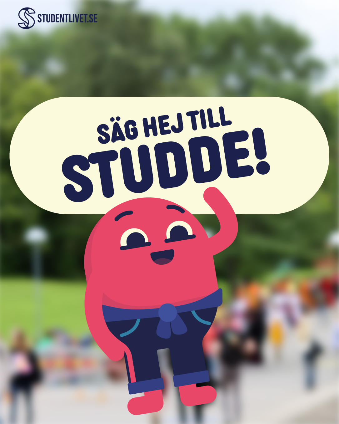 Studde