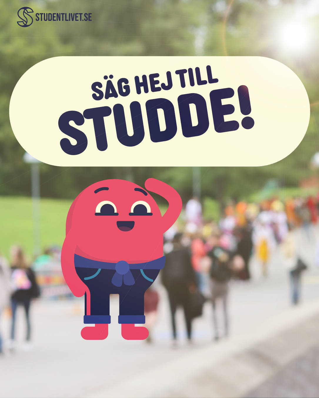 Studde
